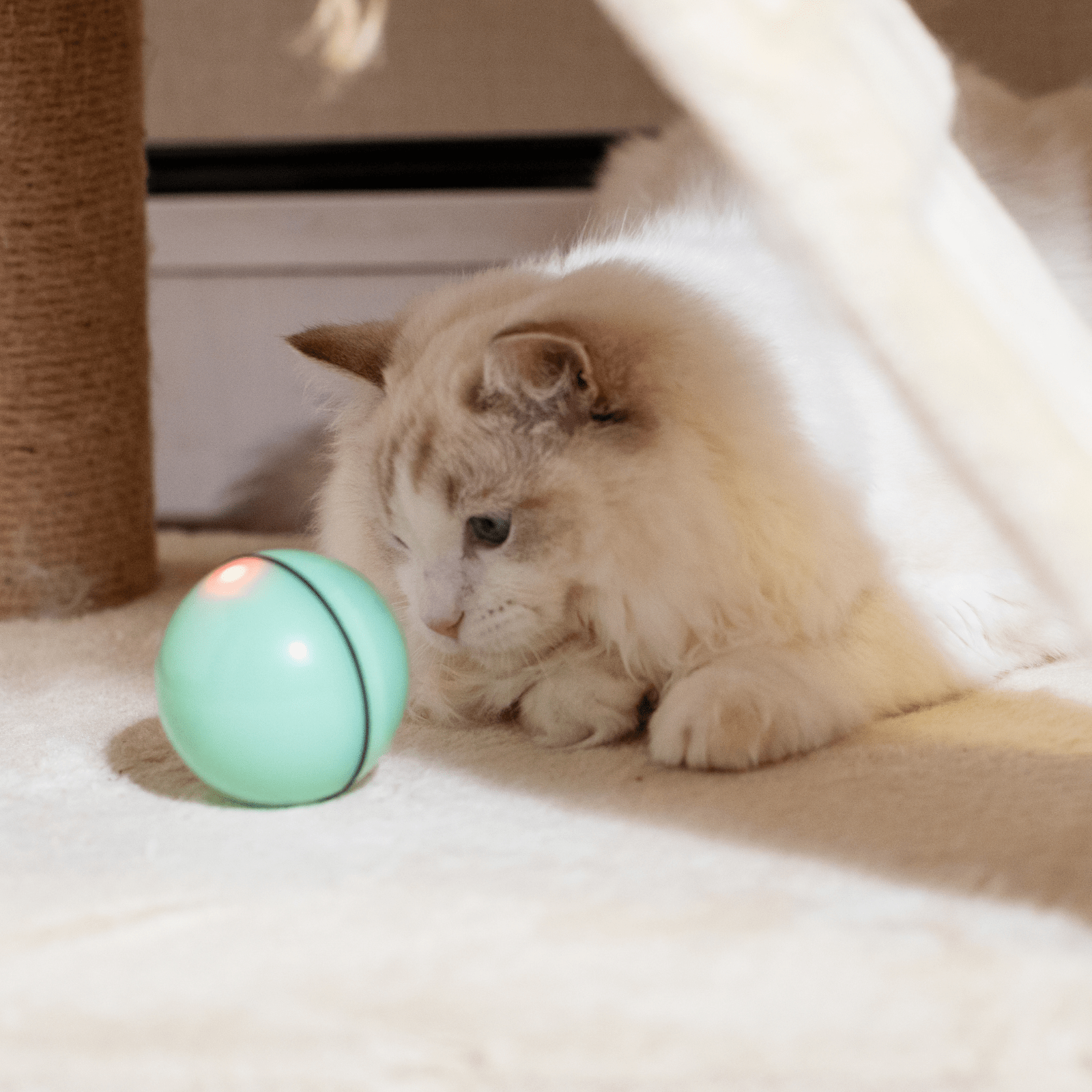 The Interactive Rechargeable Cat Toy: Keeping Your Feline Friend Entertained and Active