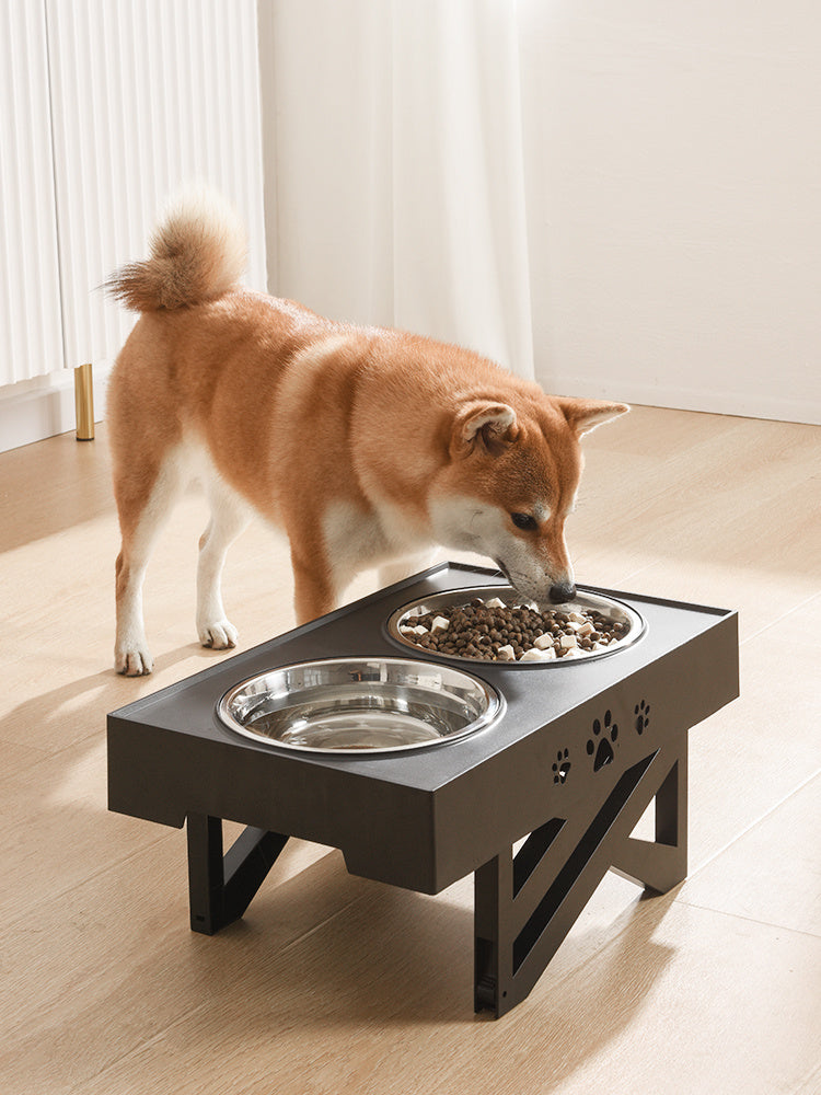 Pet Feeder Stainless Steel Bowl