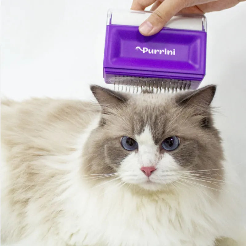 PET 2-IN-1 CLEANING COMB